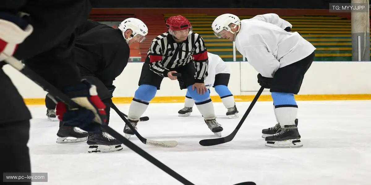 抗干扰通讯·用精准说话🔬